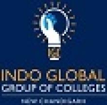 Indo Global Group of Colleges logo