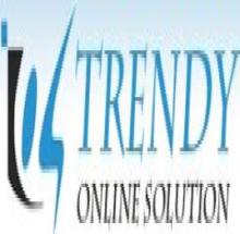 Trendy Online Solution logo