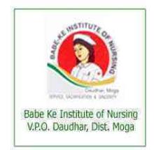 Babe Ke Institute of Nursing logo