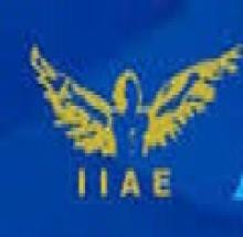 Indian Institute of Aircraft Engineering logo