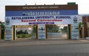 Rayalaseema University Entrance