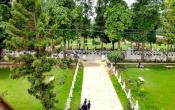 AMU  - Aligarh Muslim University Campus View
