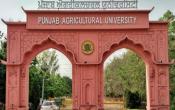 PAU - Punjab Agricultural University Entrance PAU - Punjab Agricultural University Entrance