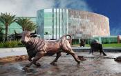 University of South Florida Others