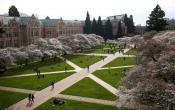University of Washington Others