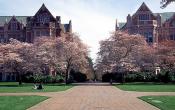 University of Washington Others