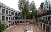 University of California - Santa Cruz Campus Others