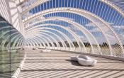 Florida Polytechnic University Others