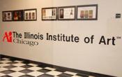 The Illinois Institute of Art Others