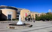 York University Others