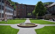 Heidelberg University - Germany Others