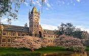 University of Otago Others