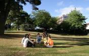 Auckland Institute of Studies Others Auckland Institute of Studies Others