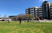 Ara Institute of Canterbury Others Ara Institute of Canterbury Others