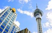 New Zealand Institute of Studies Others New Zealand Institute of Studies Others