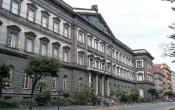 University of Naples Others