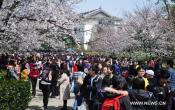 Wuhan University Others