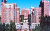 Hebei Medical University Others Hebei Medical University Others