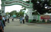 University of Northern Philippines Others University of Northern Philippines Others
