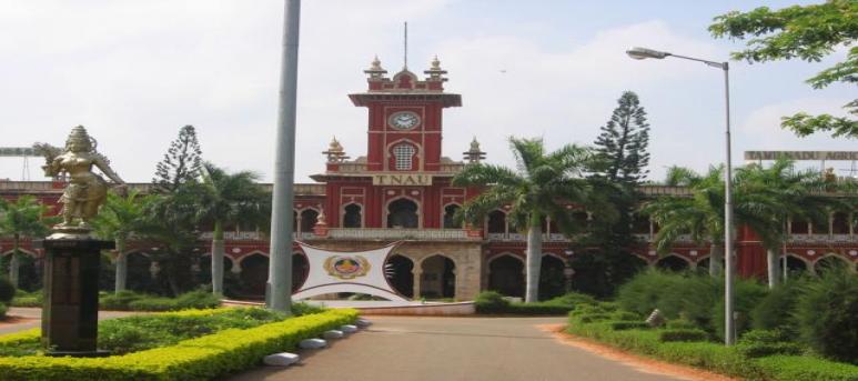 TNAU - Tamil Nadu Agricultural University