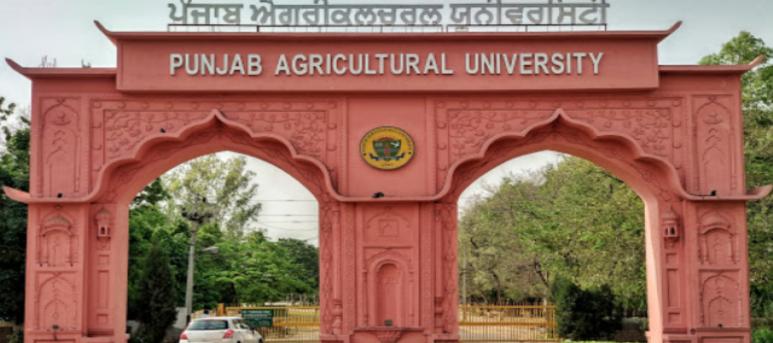 PAU - Punjab Agricultural University