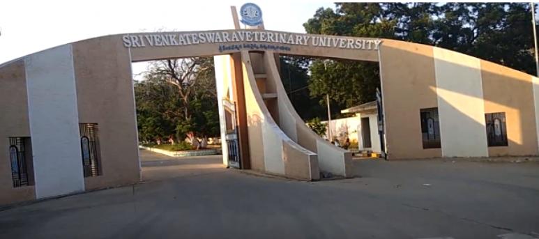 SVVU - Sri Venkateswara Veterinary University