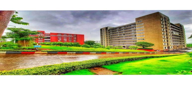 D Y Patil University, Pune