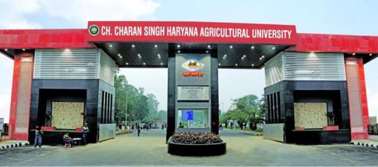 Chaudhary Charan Singh Haryana Agricultural University - CCS HAU