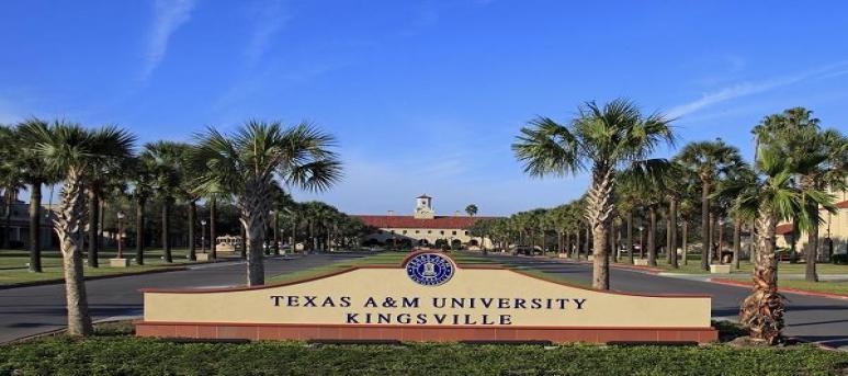 Texas A&M Universityâ??Kingsville