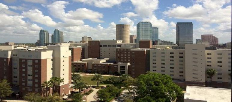 The University of Tampa