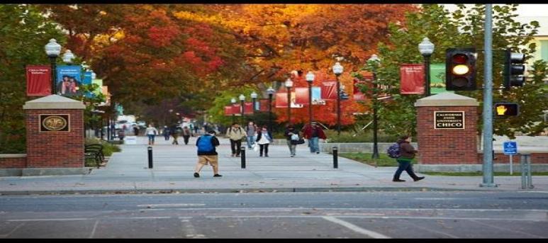 California State University - Chico Campus