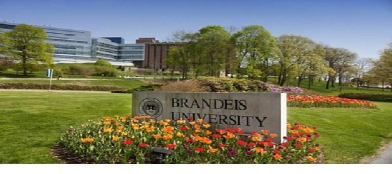 Brandeis University