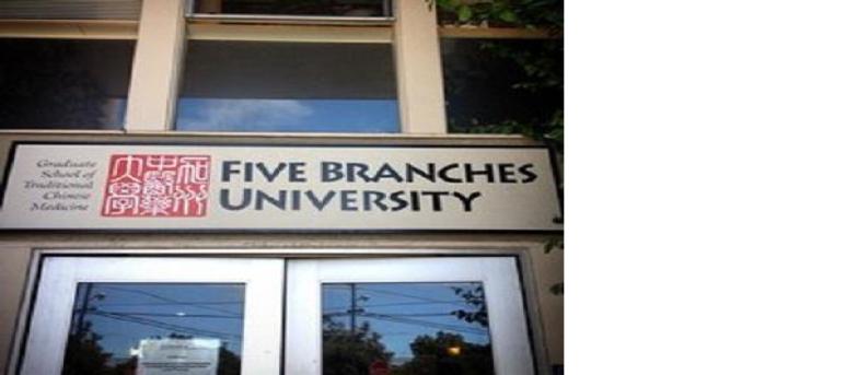 Five Branches University