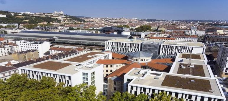 ESDES Business School