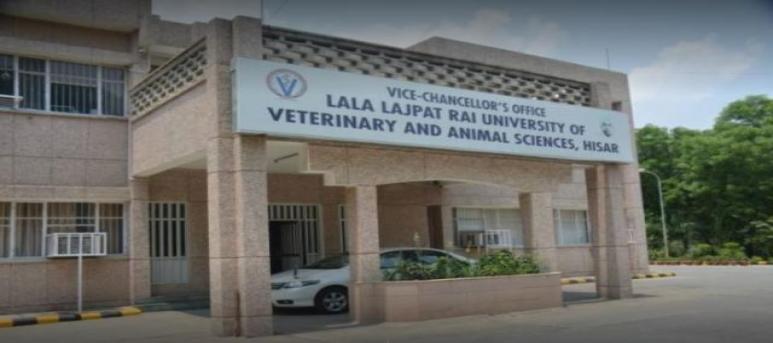 Lala Lajpat Rai University of Veterinary and Animal Sciences