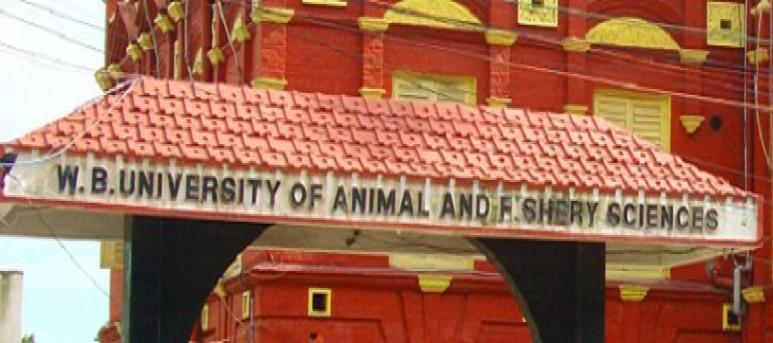 West Bengal University of Animal and Fishery Sciences