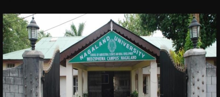 Nagaland University - Medziphema Campus