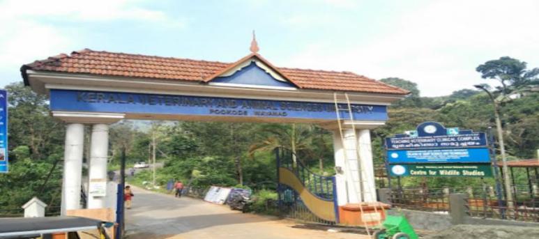 Kerala Veterinary And Animal Sciences University - KVASU