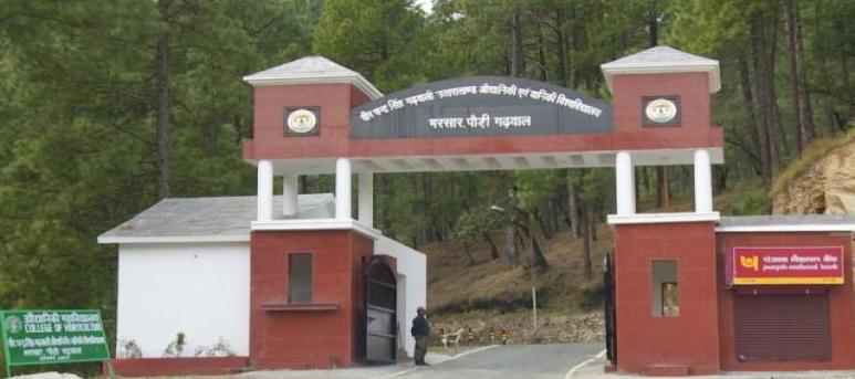 Veer Chandra Singh Garhwali Uttarakhand University of Horticulture and Forestry